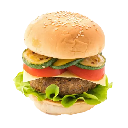 Vegan Burger
